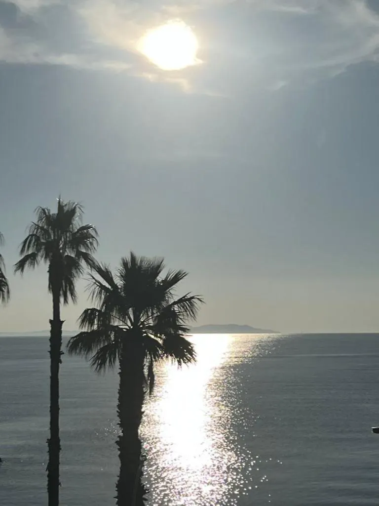 Chez Jo Duplex Terrasse Vue Mer Hyères